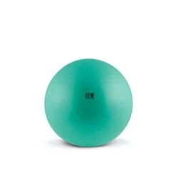 Gymball Antiburst - 55 Cm