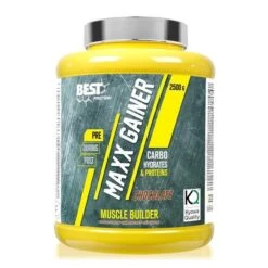 Maxx Gainer - 2.5 Kg